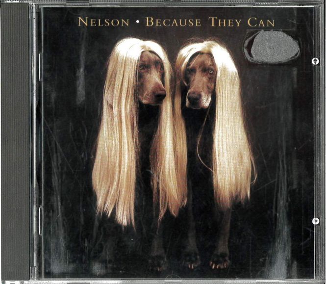 Huvudbild Nelson - Because They Can (cd) beg