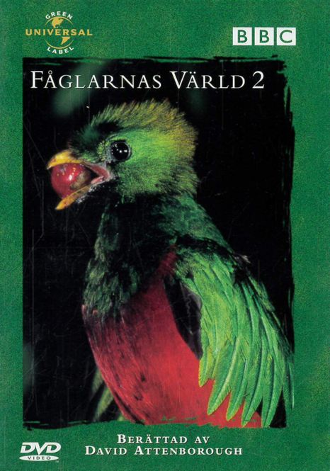 Huvudbild Fåglarnas värld 2