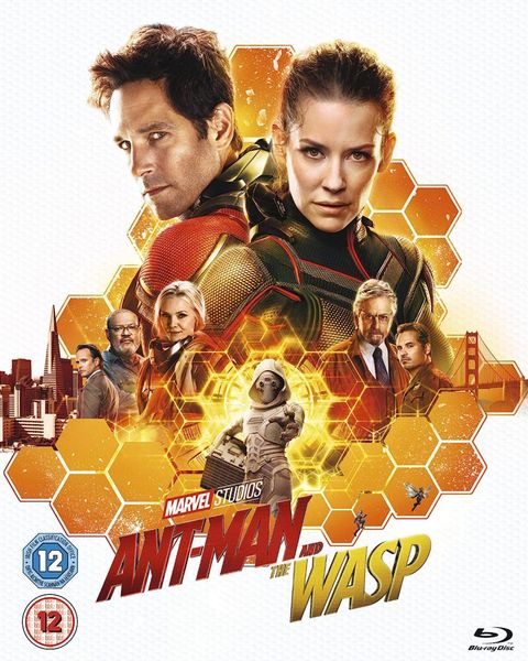 Ant-Man And The Wasp (Blu-Ray) beg