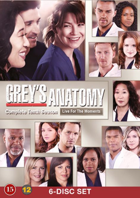 Huvudbild Grey's Anatomy - Säsong 10 (dvd) beg