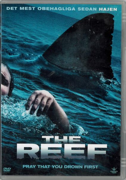 Reef - beg dvd