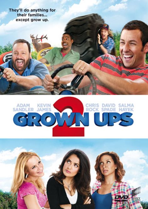 Huvudbild Grown Ups 2 (DVD) fd hyr
