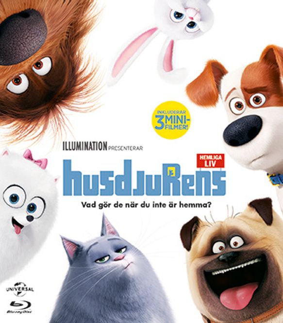 Huvudbild Husdjurens Hemliga Liv (Blu-ray)